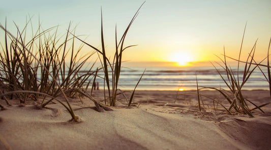 Best Third-Party Apple Watch Bands for Beach Lovers By The Thrifty Gentleman