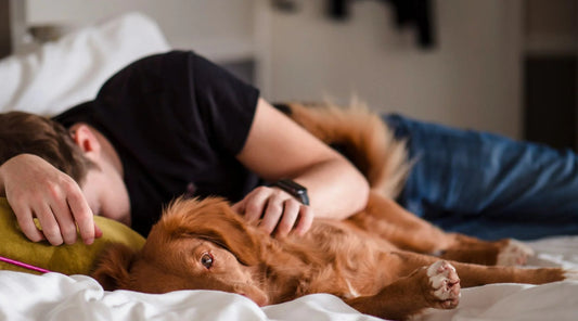 Can I Wear an Apple Watch Band While Sleeping? Your Options